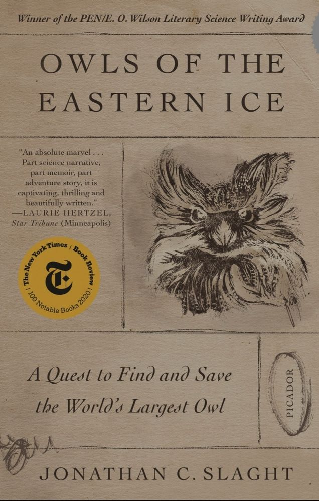 cover of OWLS OF THE EASTERN ICE