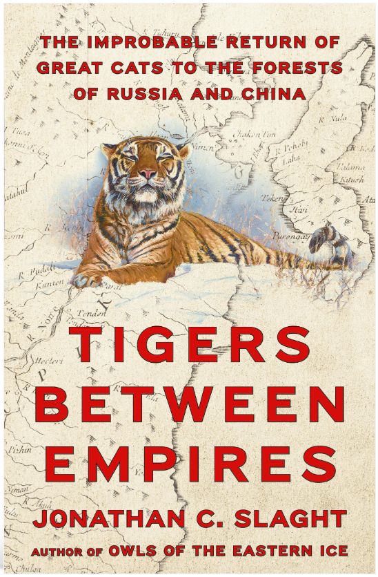 a super cool book cover, with A TIGER ON IT