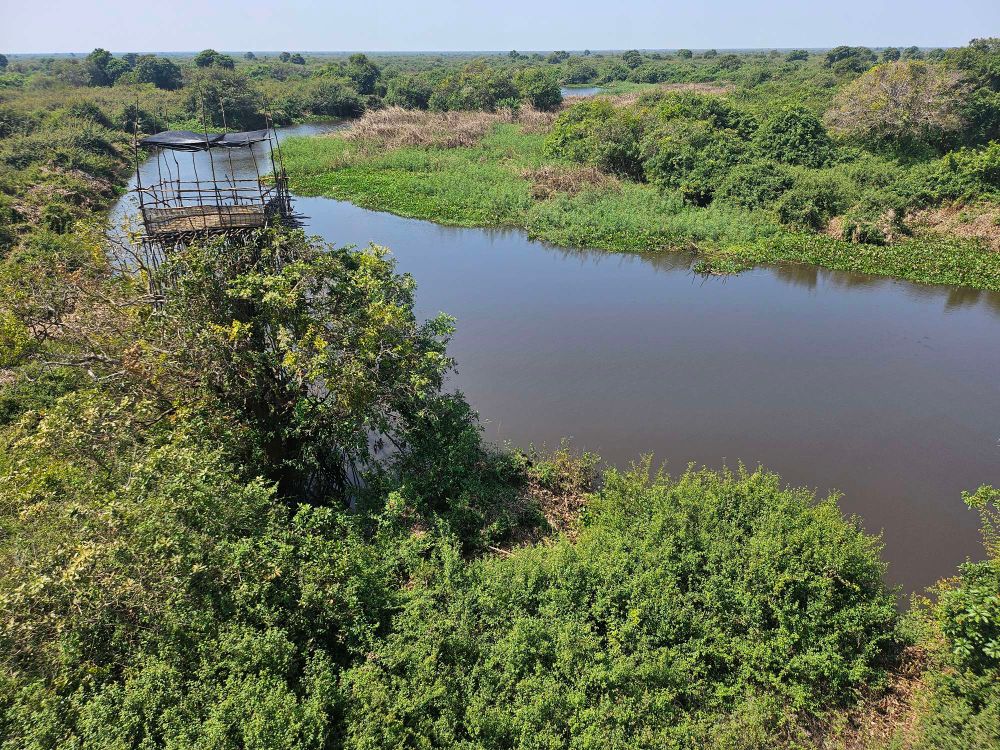 A tower made from sticks overlooks a river and surrounding wetland