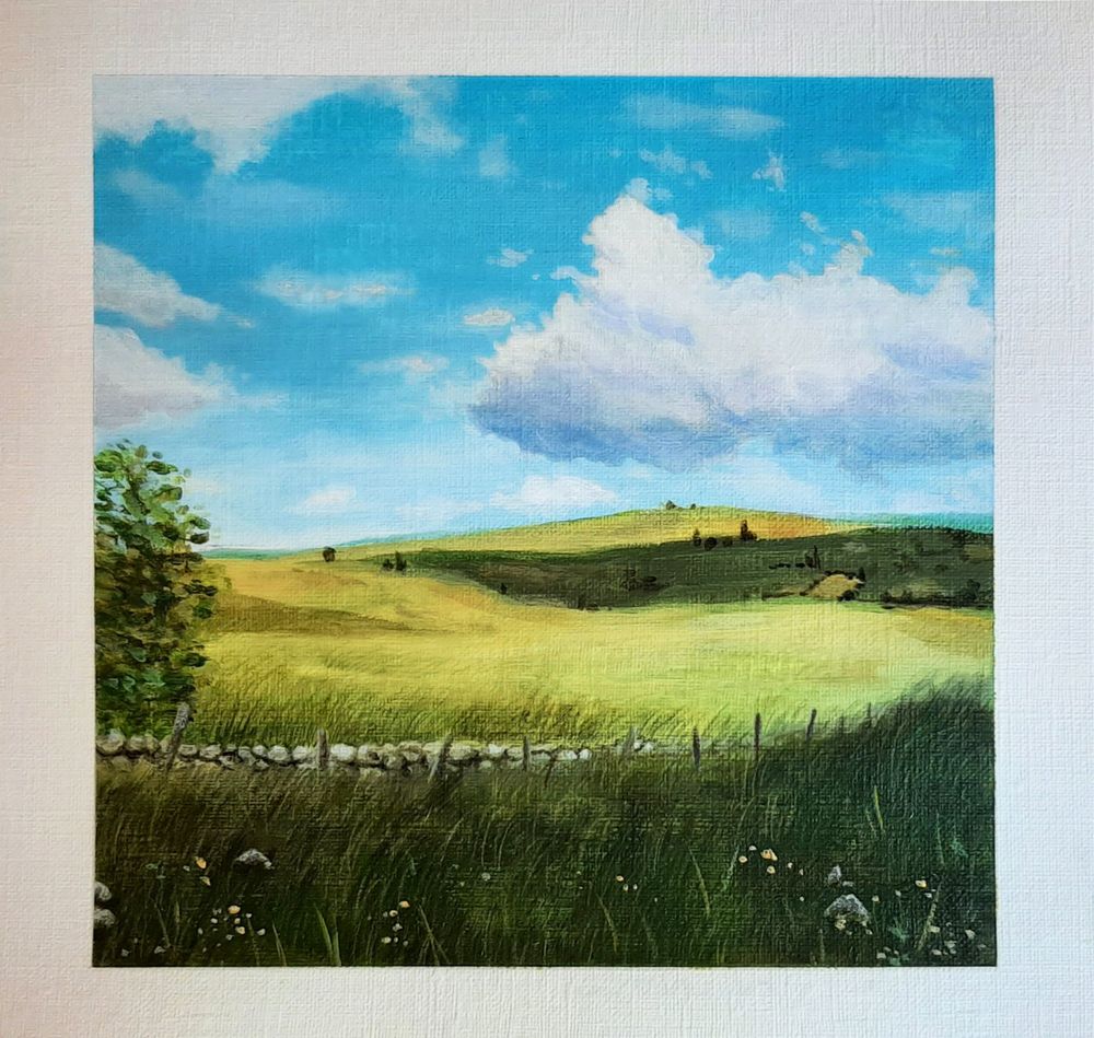 Acrylique sur toile au format carré représentant un paysage de Lozère. On voit une large plaine couleur olive aux nuances de vert et jaune. Le ciel est bleu azur, et de grands nuages blancs et lilas viennent déposer leur ombre sur la plaine. Au second plan, on aperçoit un muret en pierre grise, longé par des poteaux de bois en mauvais état.