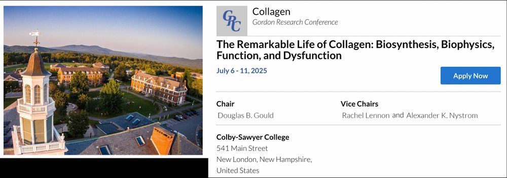 Flyer for the 2025 Collagen Gordon Research Conference