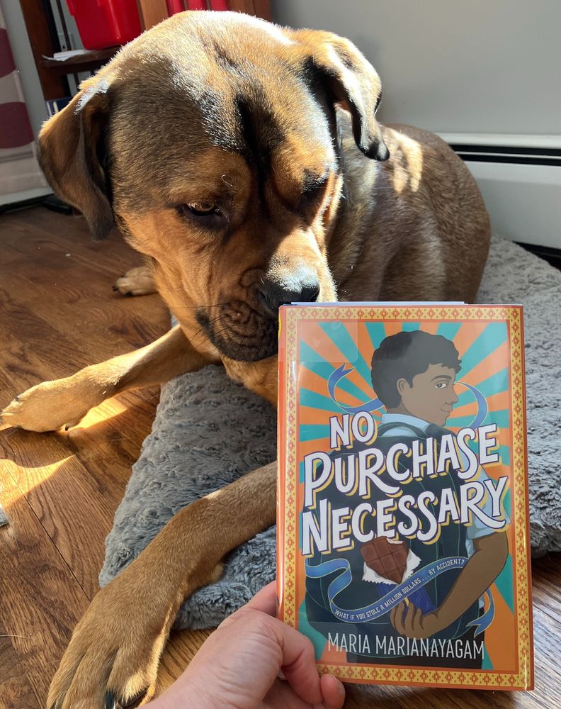 A very good dog sniffs a hardcover of No Purchase Necessary by Maria Marianayagam.