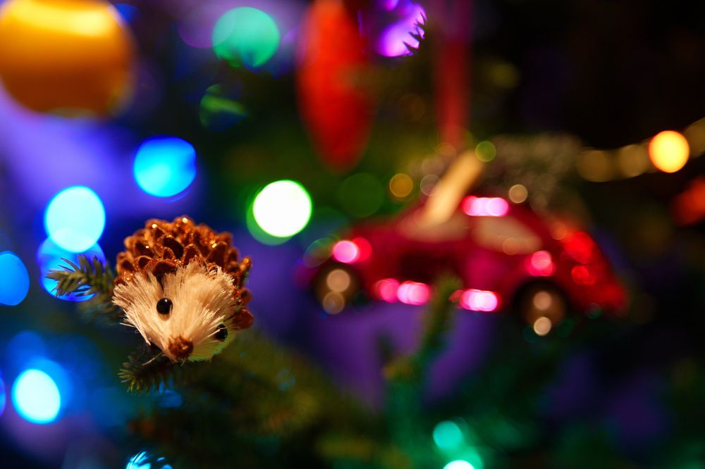 a close-up of a hedgehog christmas tree decoration which is made of a pine cone and sitting on a christmas tree