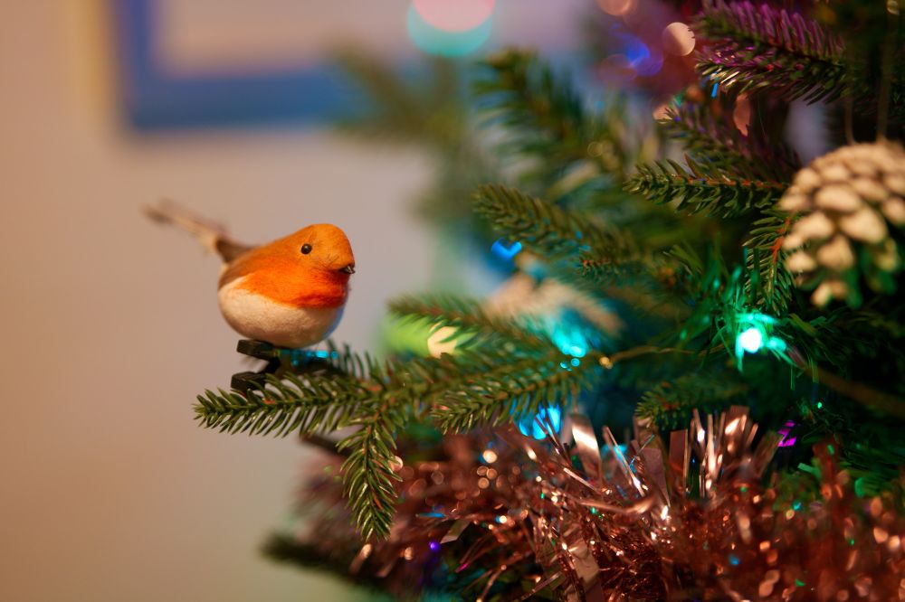 a robin christmas tree decoration on a christmas tree