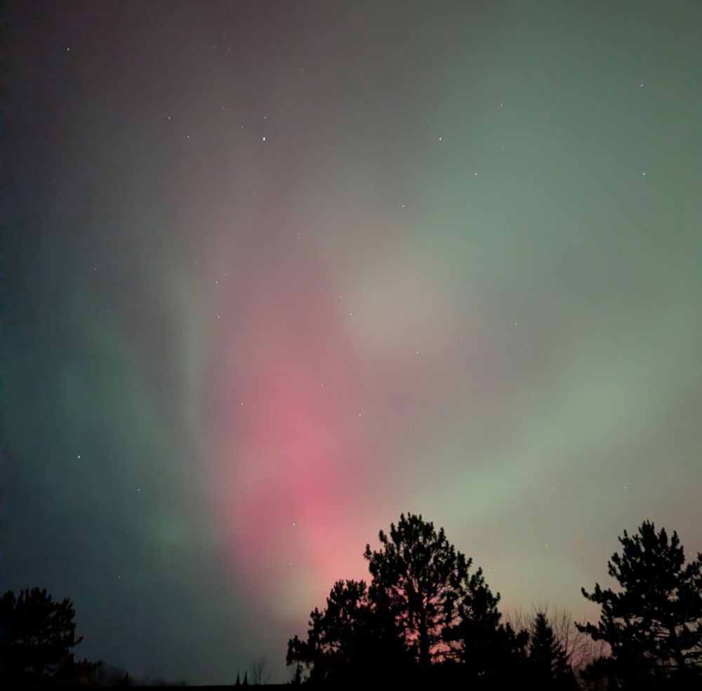 Northern lights and trees 