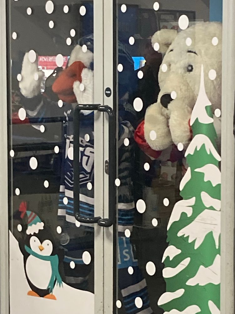 Ice hockey mascots for Billingham Stars and Hull Jets pressed up against a window.