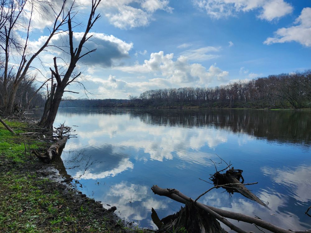 A gorgeous downstream view of the Rock River in Illinois. A blue and cloudy sky and a nearby treeline reflects off the water like a mirror. 