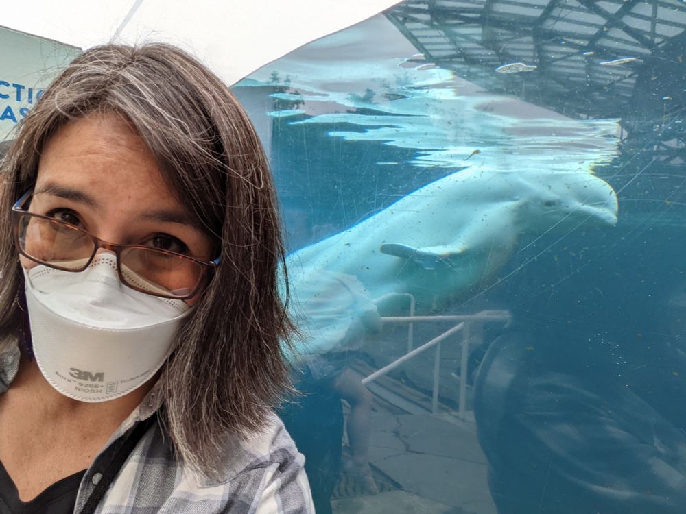 Woman with glasses and mask stands in front a large tank with a white beluga whale