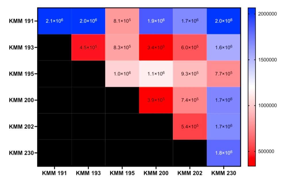 Lipase activity for mono-and co-cultures of microbes. Heat chart shows lipase activity in hues of red (lower) to dark blue (more activity). Interesting interactions include: 195 suppresses activity of 230 and 191, as 230 and 191 change from dark blue in monoculture to red or pink.