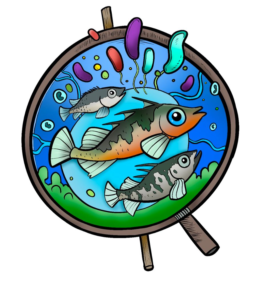 A brown circle with a stick behind it and a handle indicating a drum. The drum skin has three stickleback fish with microbes of various shapes and sizes coming from it. The green on the bottom and blue of the water indicates where we think the microbes are coming from