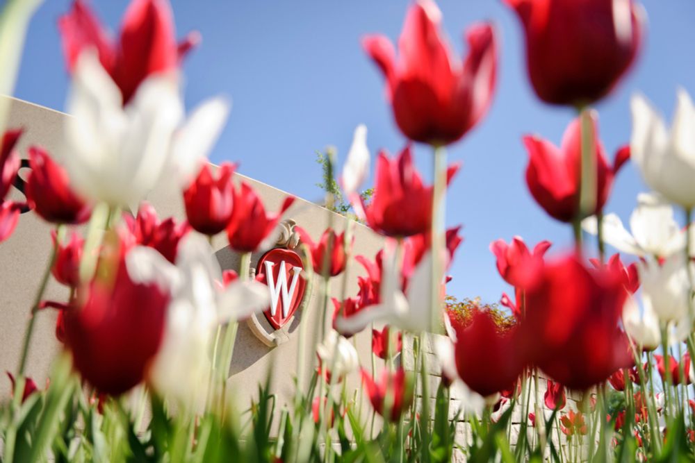 Assistant Professor - Sustainability of Natural Resources - Madison, Wisconsin, United States