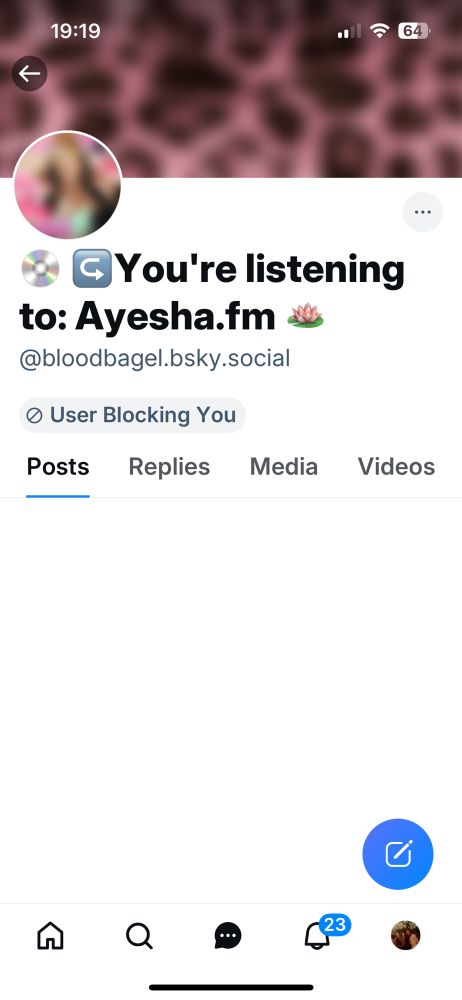 Screenshot of a user named bloodbagel.bsky.social blocking me. 