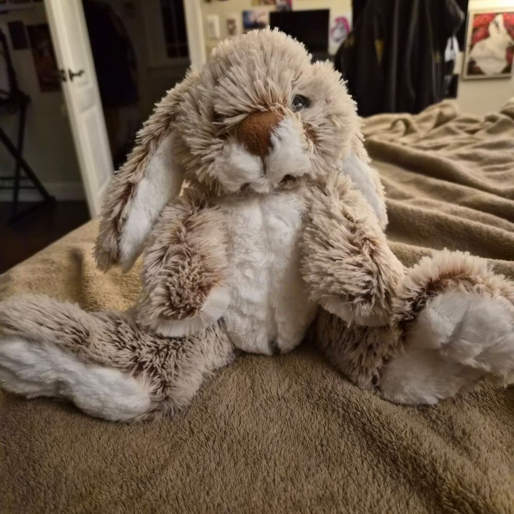 Picture of a plush bunny on my bed, he looks really soft and cute.