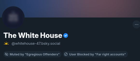 screenshot of The White House account on here being blocked by user lists "Egregious Offenders" and "Far right accounts"