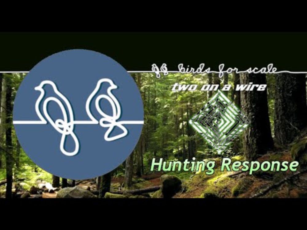 Birds for Scale - Hunting Response