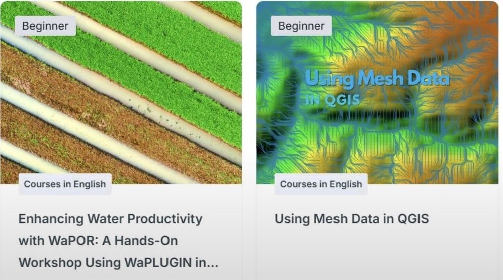 Workshops on WaPlugin and Mesh Data in QGIS