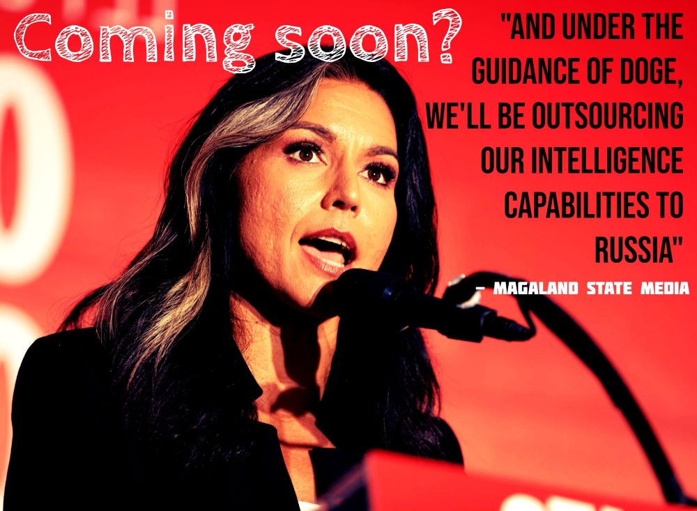 Picture of Tulsi Gabbard with the text 