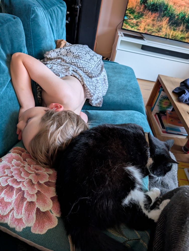 Ísabella sæta kisa sefur við höfuð yngsta barnsins á blágrænum sófa með bleikum blómapúða sér við hlið.