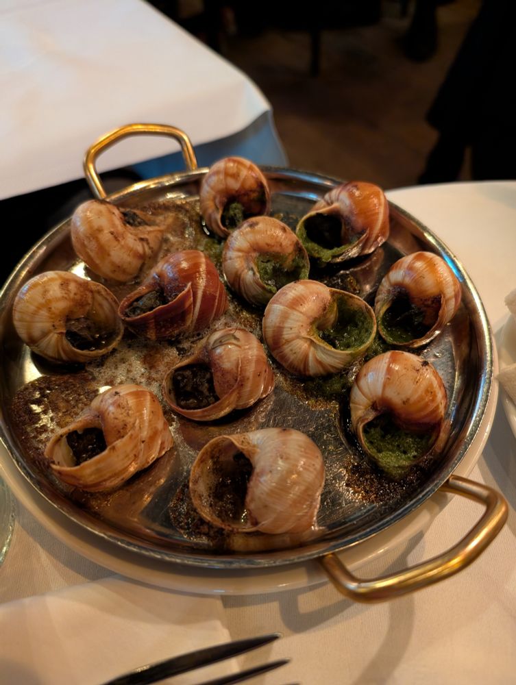 12 eldaðir sniglar á fati