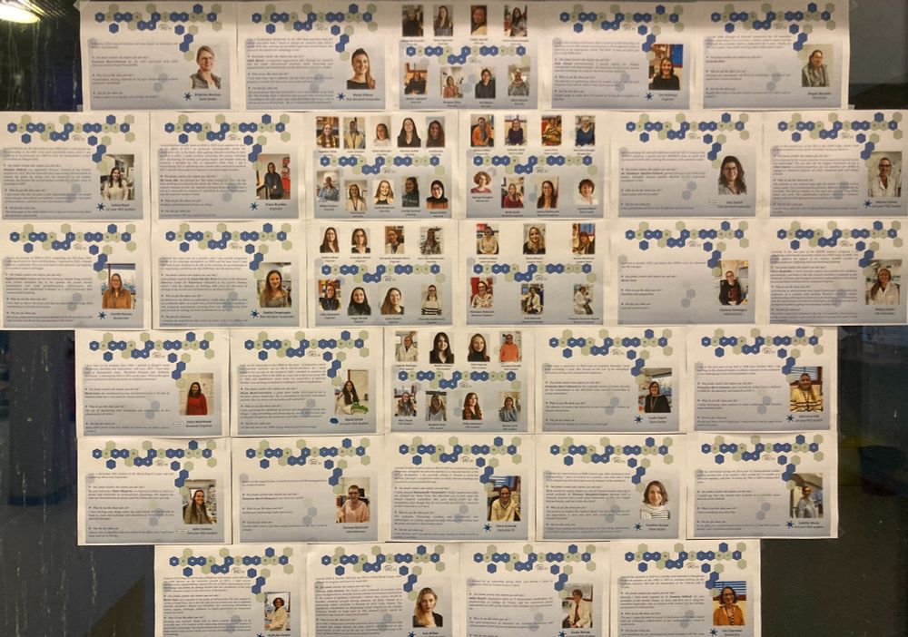 Portraits of all women at IRIM