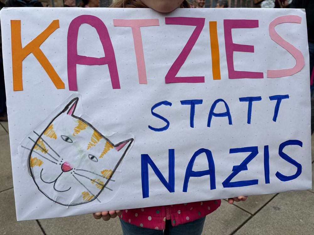Demo Schild Katzies statt Nazis