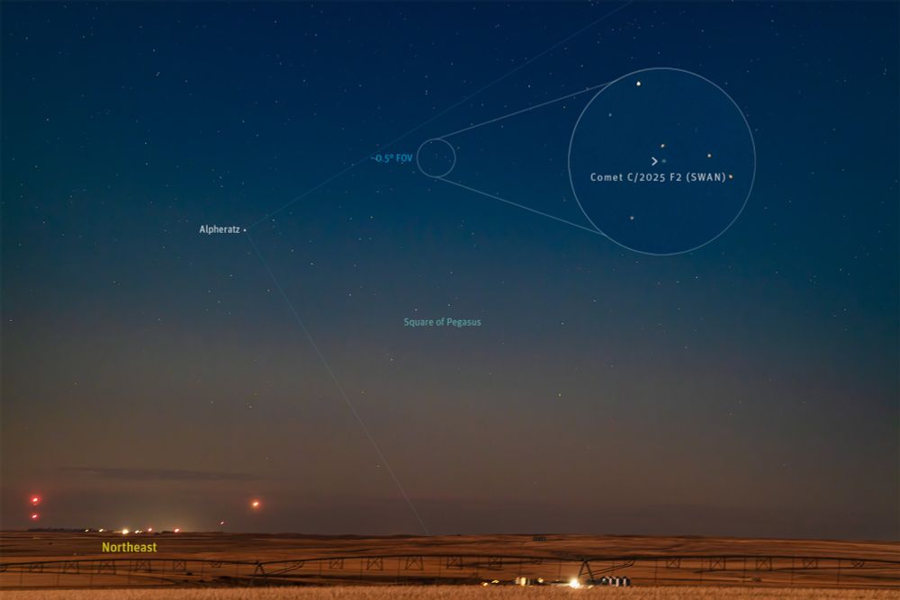 The sky is bright with moonlight, which hindered the view. But comparing it to stars in the area, SWAN looked to be about 9th magnitude or dimmer. I could not see it through a 120mm telescope. It showed up only in this tracked 8-second exposure with a 180mm lens, the Askar FMA180 astrograph. The field of view is similar to that of binoculars. 

But don't expect to see it in binoculars, certainly not easily. It is low and in a moonlit sky for the next couple of weeks. Perhaps it might be better in early May by which time it will be brighter and low in the evening sky. Assuming it does not fizzle away! 
