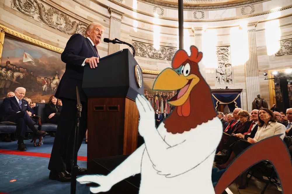 Comment image