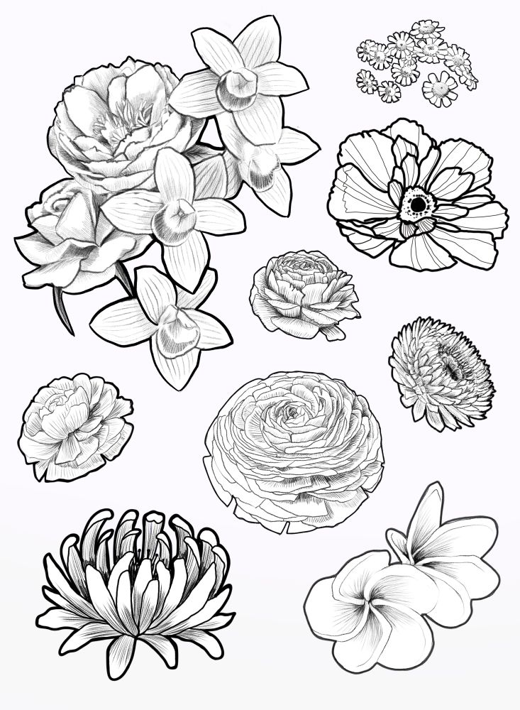 Delicately drawn floral flash sheet