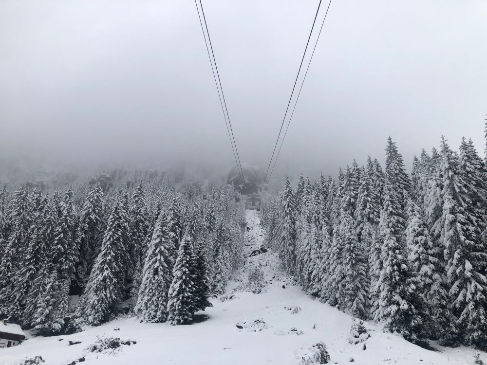 Bergstation der Tafamuntbahn, verschneiter
Wald