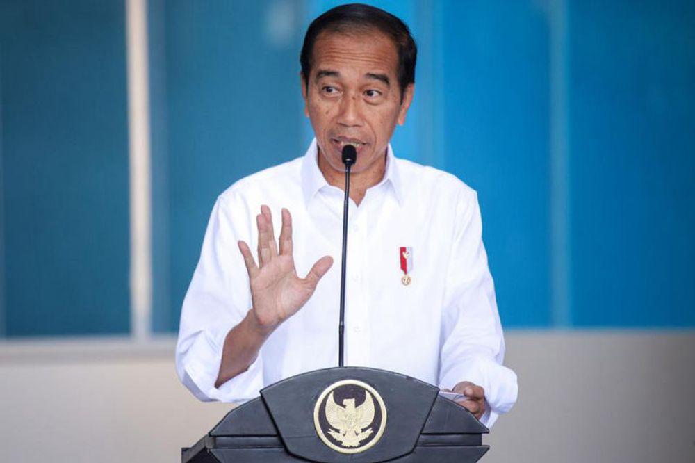 Jokowi Sebut RI Bisa Jadi Superpower Sejajar Cina dan India: Jangan Pesimis - Nasional Katadata.co.id