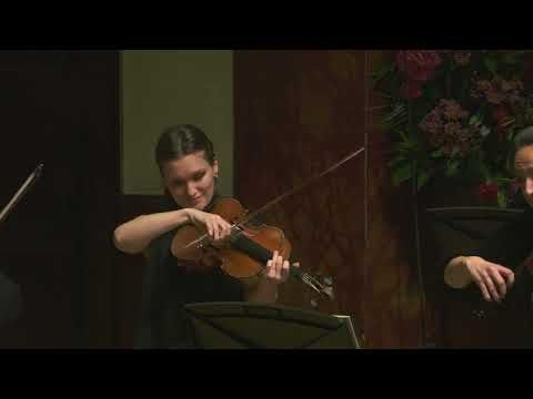 Coult  - Prelude (after Monsieur de Sainte Colombe)