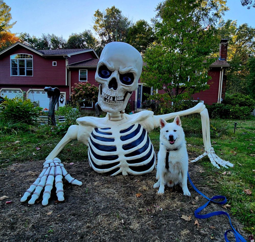 Groundbreaker skeleton with white dog sitting next to it