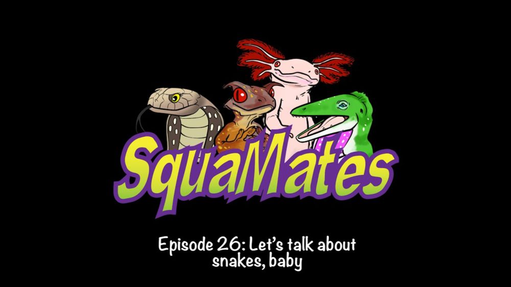 SquaMates Ep. 26: Let's talk about snakes, baby
