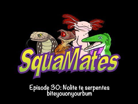 SquaMates Ep. 30: Nolite te serpentes biteyouonyourbum