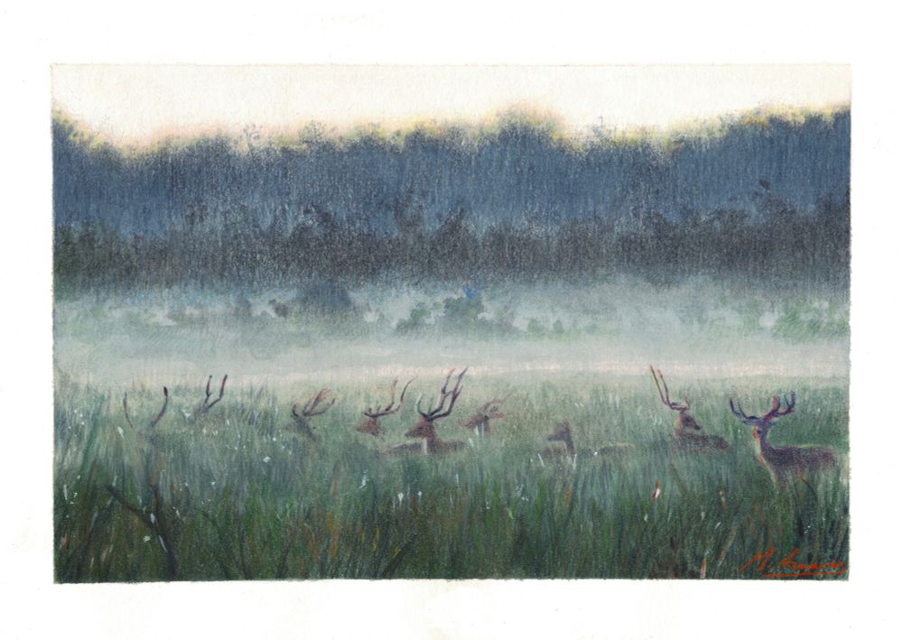 Dibuix fet a llapis de color i aquarel·la d'un prat on hi ha un grup d'animals similars a les gaseles. Estan entre l'herba alta. Al fons, la vegetació és frondosa.