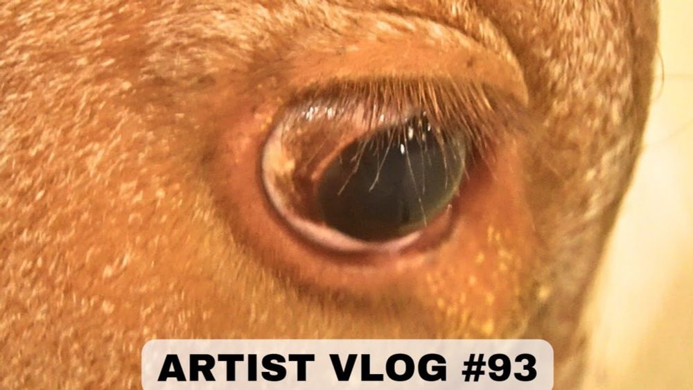 An Agricultural Show through the eye of a Video Artist