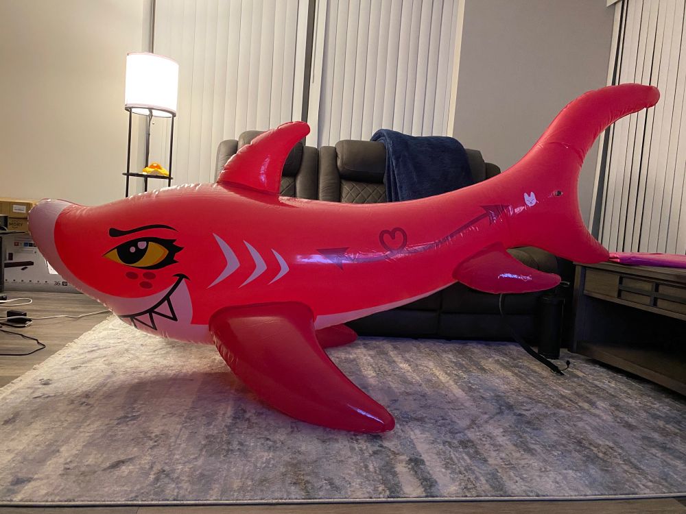A pink inflatable shark 