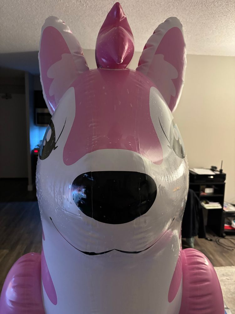 A pink pooltoy husky facing the viewer, wet with sudsy water.