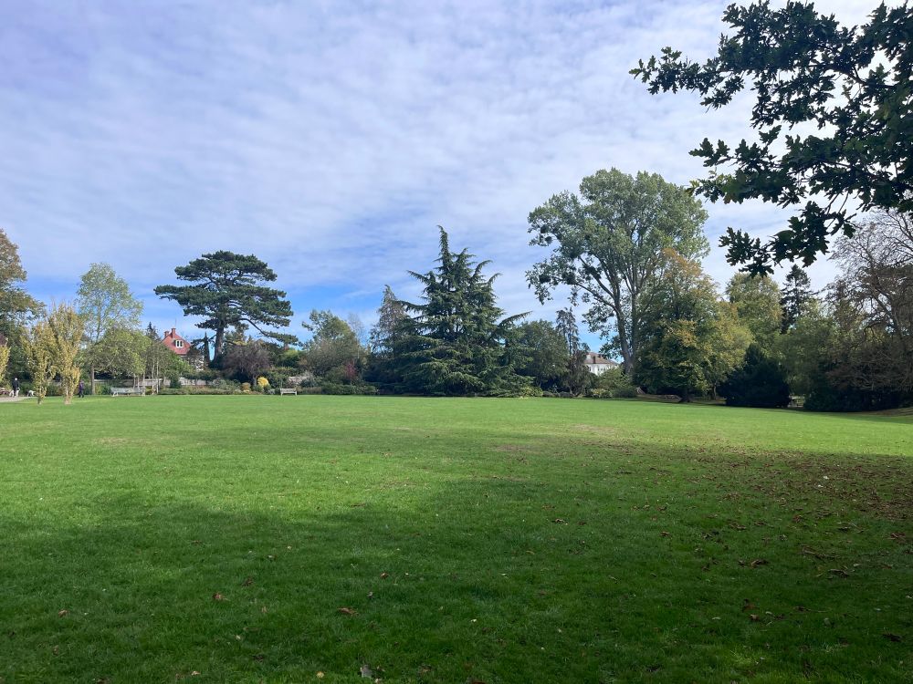 View over a park in the sunshine. There’s a large lawn in the foreground with a variety of tree species and benches around the edges