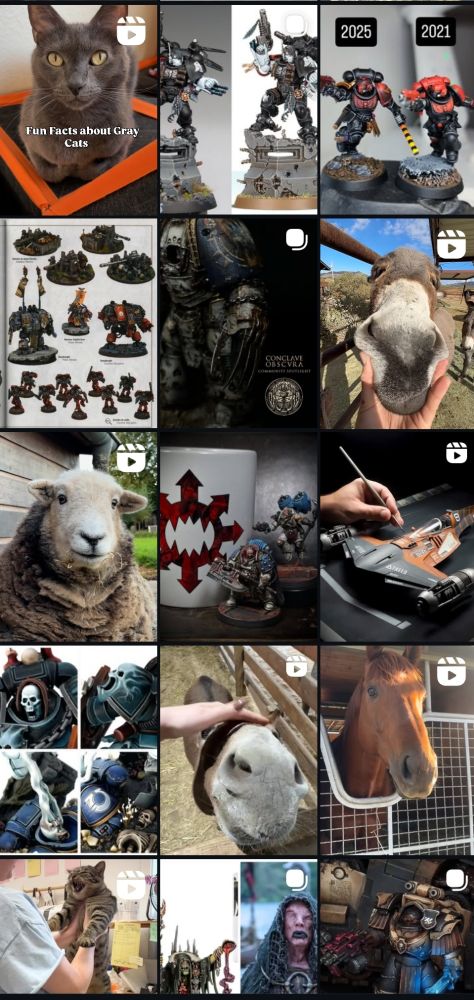 A screenshot of my Instagram search page. From top left: a cat; Warhammer miniatures; more Warhammer miniatures; yet more Warhammer miniatures; another Warhammer miniature; a donkey having his squishy nose squished; a sheep; more Warhammer miniatures; someone painting a Star Wars spaceship model; more Warhammer miniatures; a donkey or horse; a horse; a cat; more Warhammer miniatures; and finally, a Warhammer miniature.