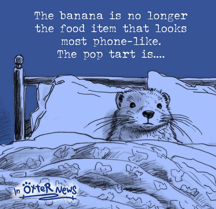 A cartoon of an otter sitting up in bed after realizing that "the banana is no longer the food item that looks most phone-like. The pop tart is…"