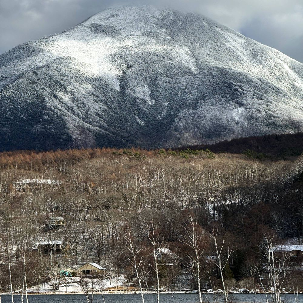 冬の白樺湖から望む蓼科山。雪化粧をした山の雄大な姿と、湖畔に点在する山小屋。白樺の木立が冬の静寂を彩る長野県の山岳風景。
- Mt. Tateshina viewed from Lake Shirakaba in winter. The majestic snow-covered mountain towers over lakeside cabins, while bare white birch trees frame this serene alpine landscape in Nagano Prefecture.-