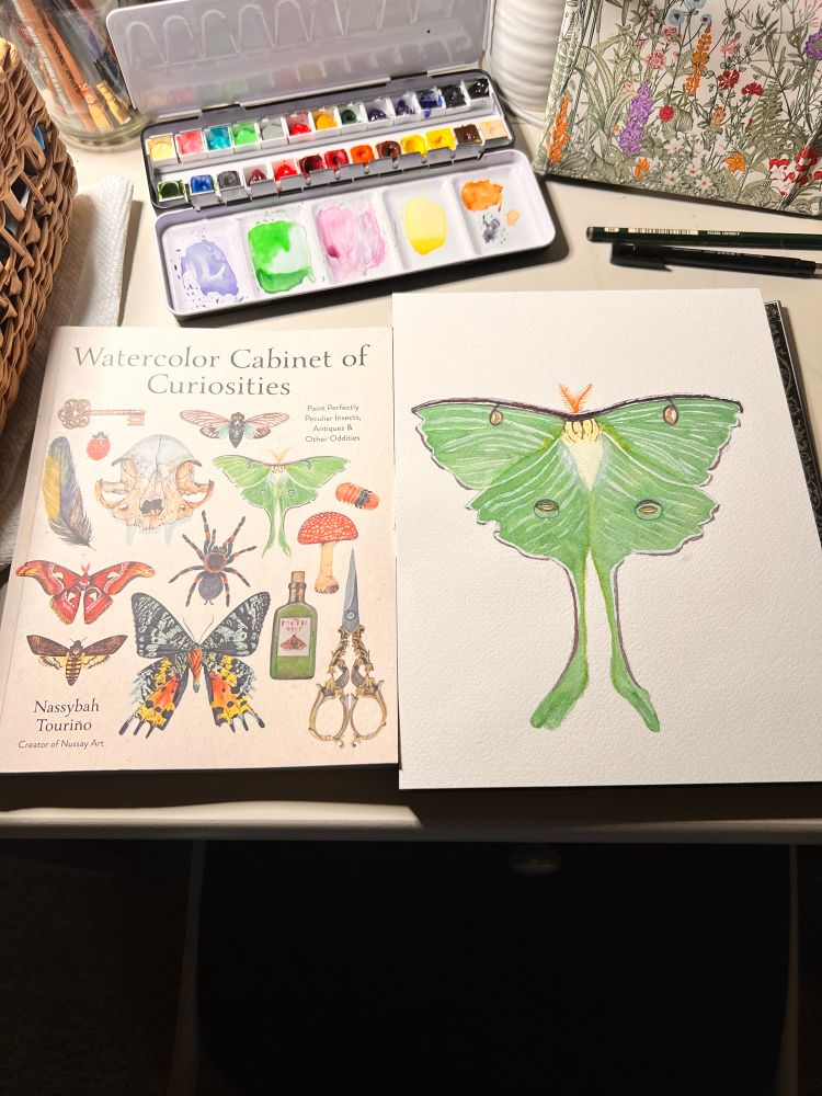A watercolor painting of a green Luna moth beside my “Watercolor Cabinet of Curiosities” workbook 