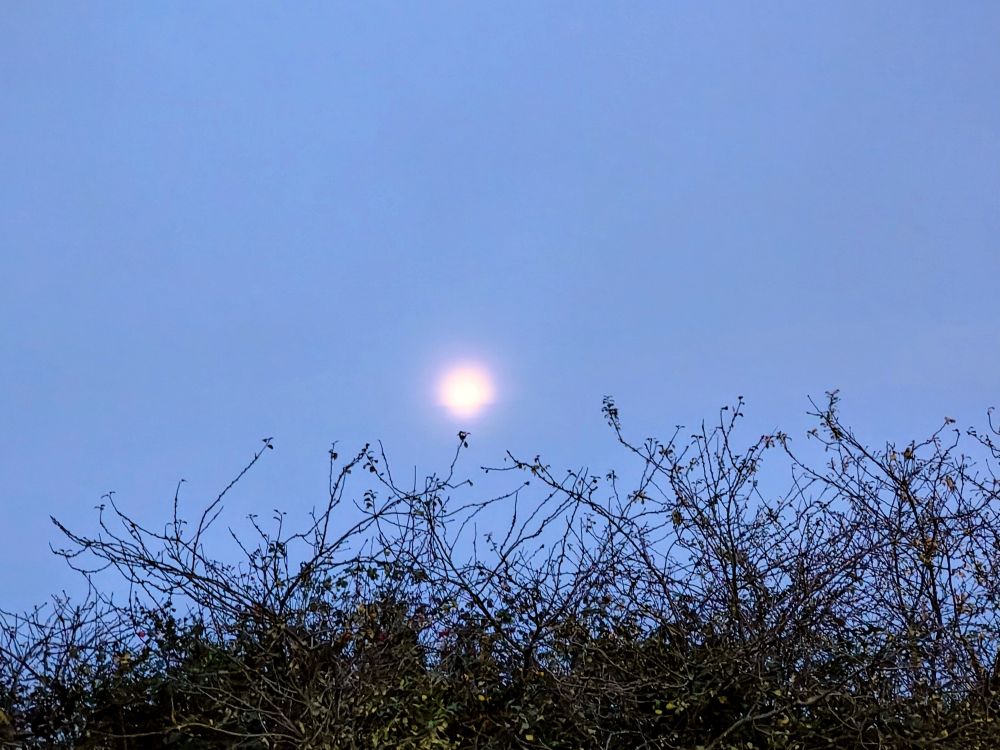 The moon but misty 