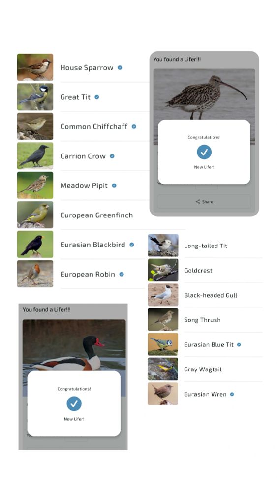 Merlin Bird App 
Sparrow, great Tit, chiffchaff, crow, meadow pipit, greenfinch, blackbird, robin, long tailed tit, goldcrest, black headed gull, song thrush, blue tit, grey wagtail, wren.
There's also 2 birds added to my life list, shelduck and curlew 