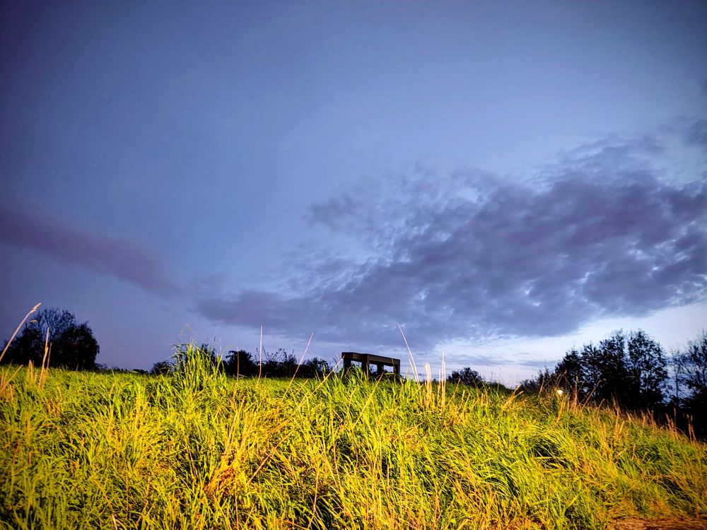 A bench in a grassy hill. 