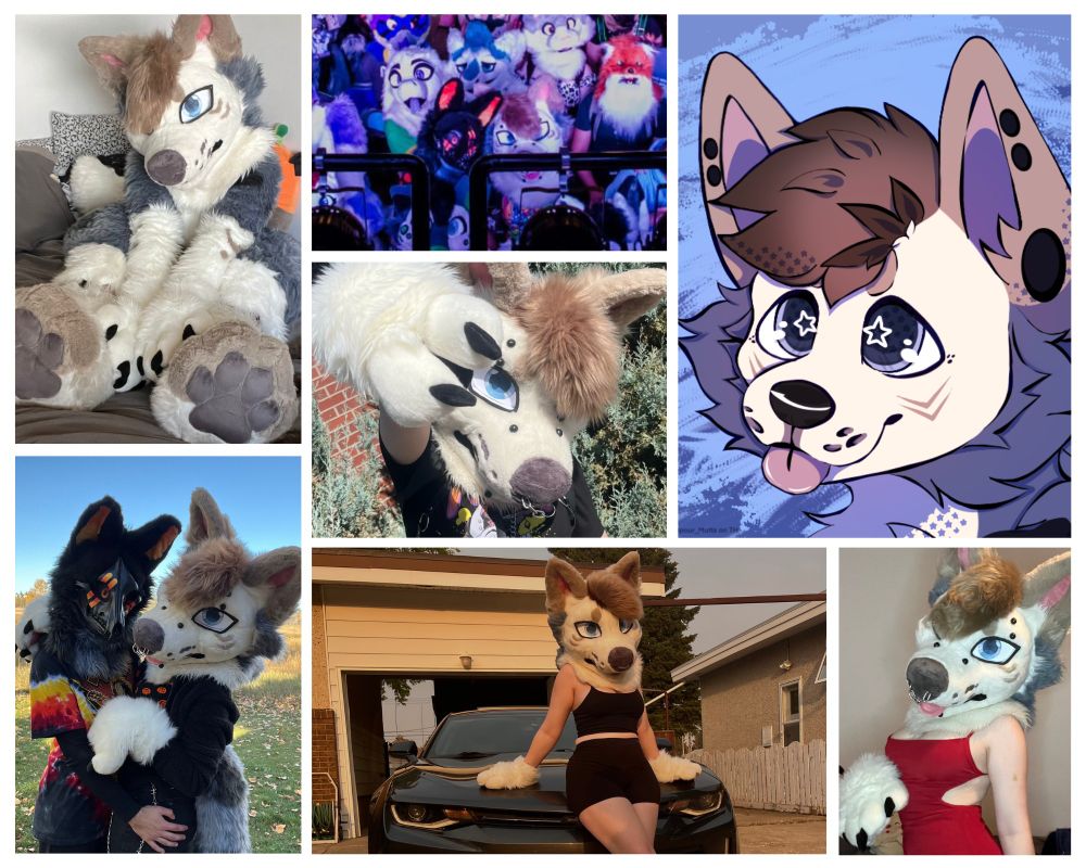 top left corner: australian shepherd full fursuit sitting. top center: group photo of different fursuiters. top right corner: digital drawing of cartoon australian shepherd dog. bottom left corner: black skull dog fursuit hugging australian shepherd fursuit. center: australian shepherd fursuit holding up peace sign with paw. bottom center: australian shepherd fursuit leaning against camaro. bottom right corner: australian shepherd fursuit head with red dress. 