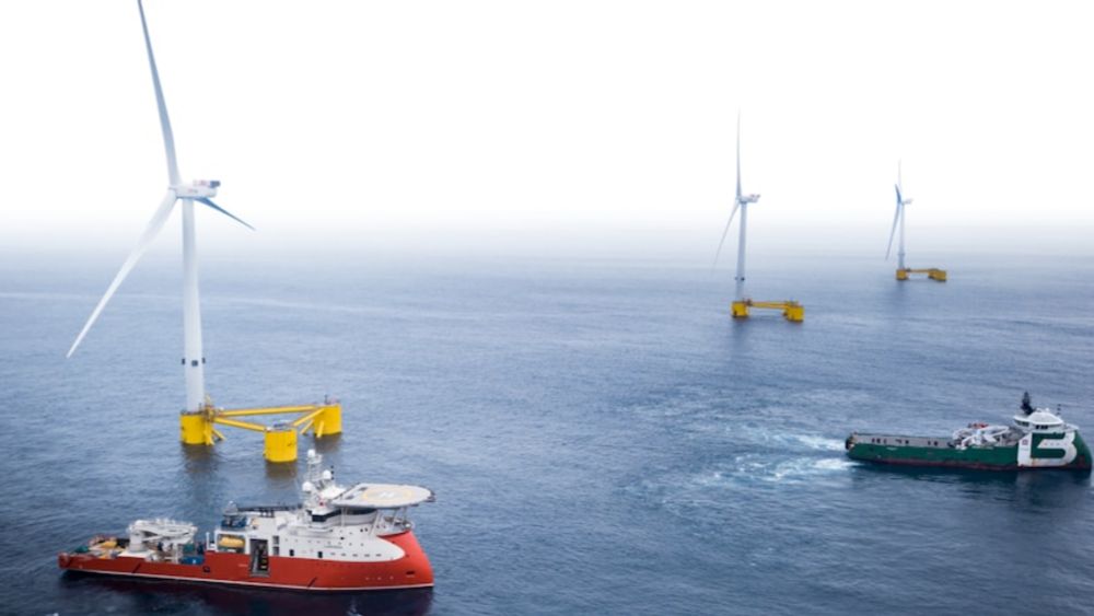 'Like a shipwreck on a seabed': How wind turbines can become homes for marine life