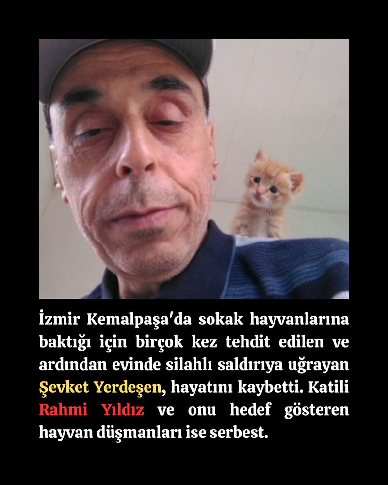 şevket yerdeşen'in omzunda bir yavru kedi var. altında da şu yazıyor:

İzmir Kemalpaşa'da sokak hayvanlarına baktığı için birçok kez tehdit edilen ve ardından evinde silahlı saldırıya uğrayan Şevket Yerdeşen, hayatını kaybetti. Katili Rahmi Yıldız ve onu hedef gösteren hayvan düşmanları ise serbest.