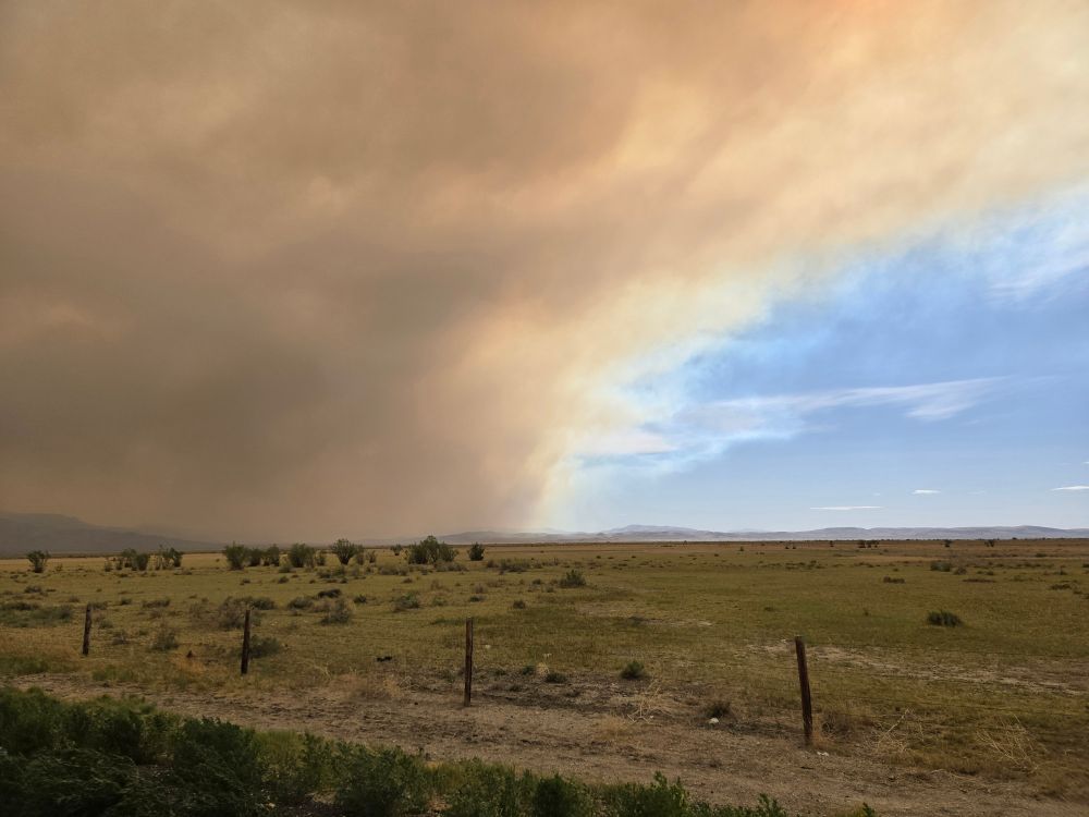 Looking out across a flat desert, low grass and scattered scrubs stretching off into the distance to a sky dominated on the left by a thick dark brown plume of smoke and on the right by clear blue sky with thin clouds. The plume has covered the sun (out of frame) giving the scene dull muted lighting that is slightly tinted orange. 